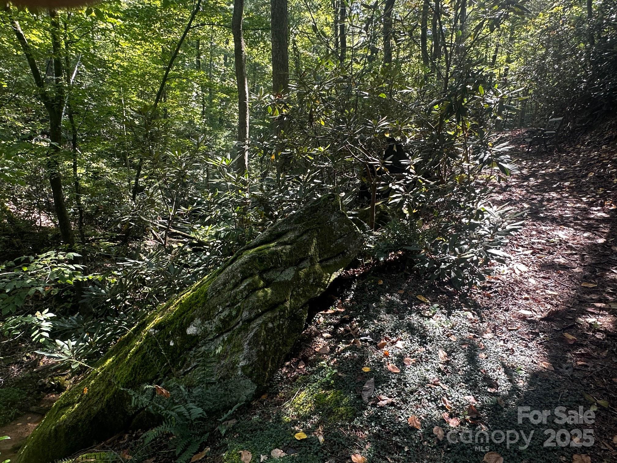 0000 Moss Hill Lane Lake Lure NC 28746