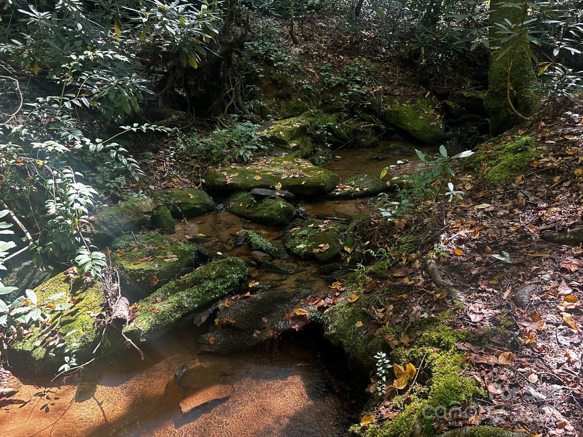 0000 Moss Hill Lane Lake Lure NC 28746