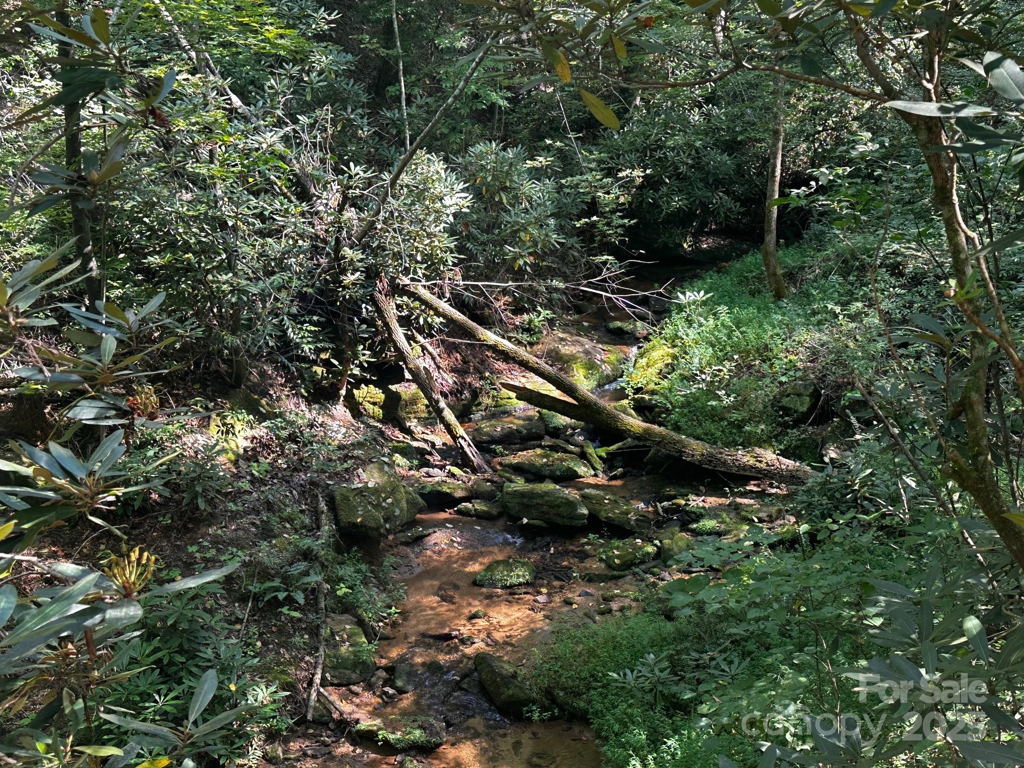 0000 Moss Hill Lane Lake Lure NC 28746