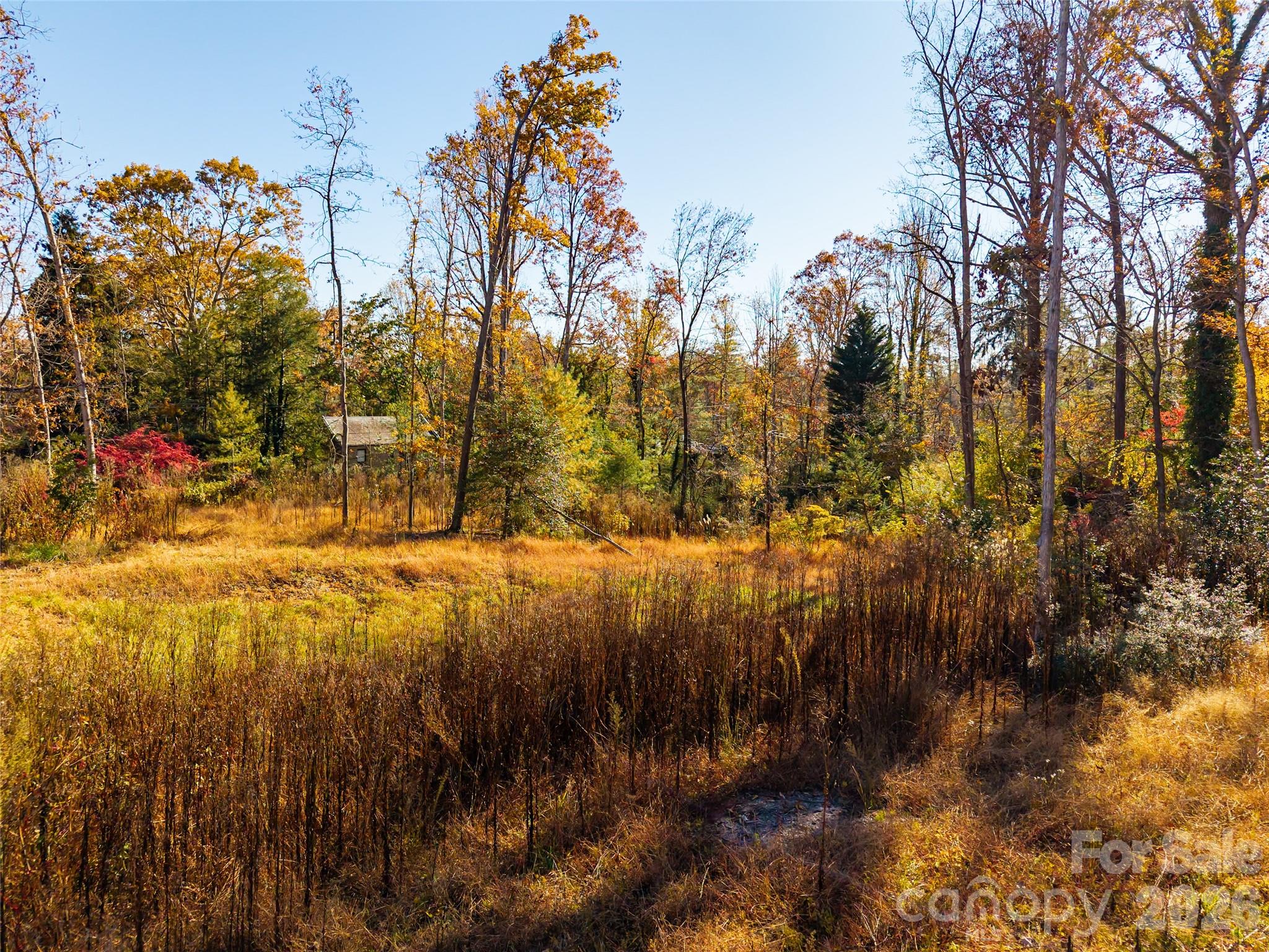50 Forest Road Asheville NC 28803