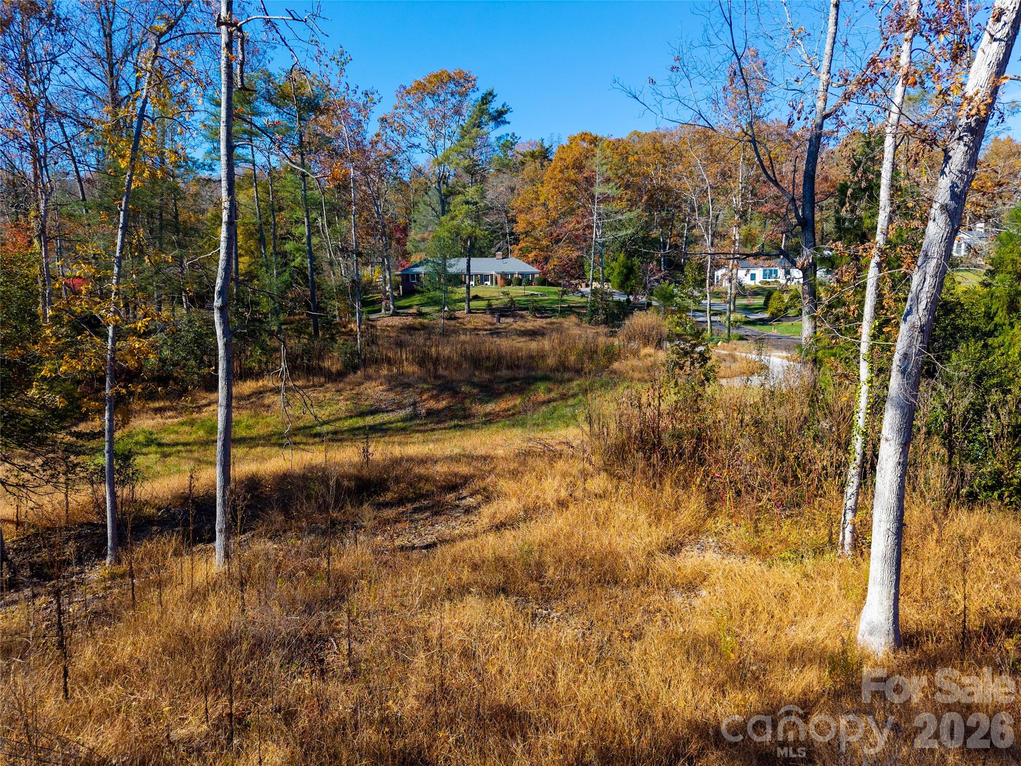 50 Forest Road Asheville NC 28803