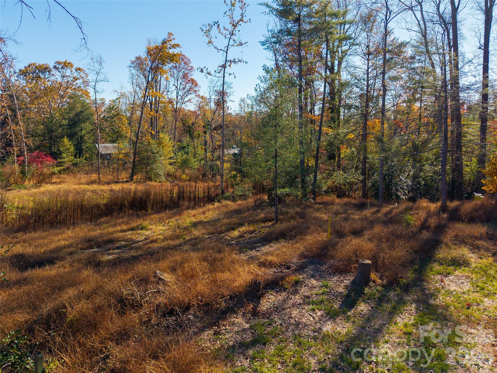 50 Forest Road Asheville NC 28803