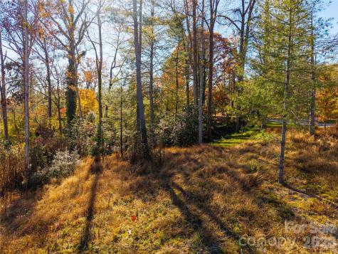 50 Forest Road Asheville NC 28803