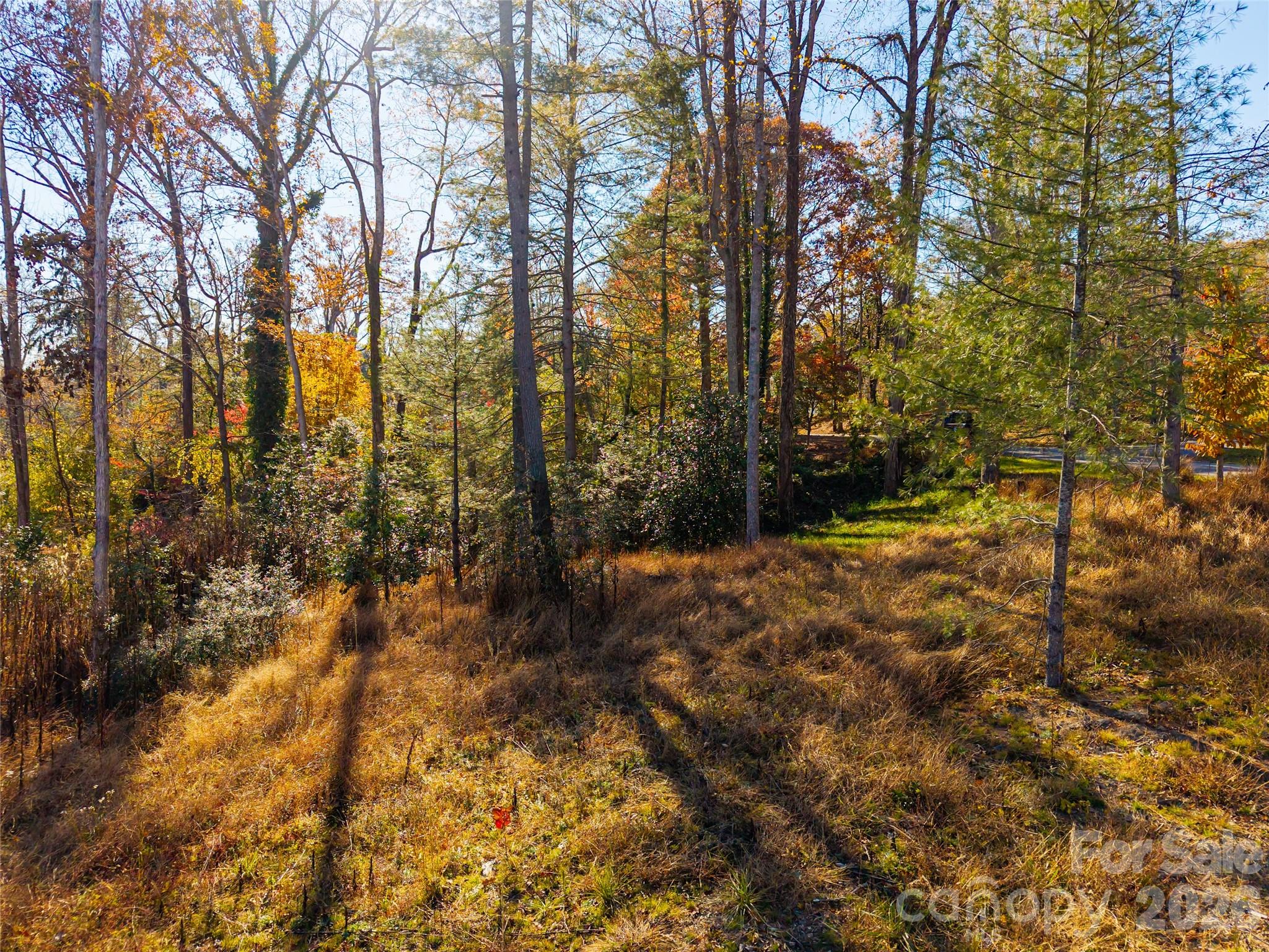 50 Forest Road Asheville NC 28803