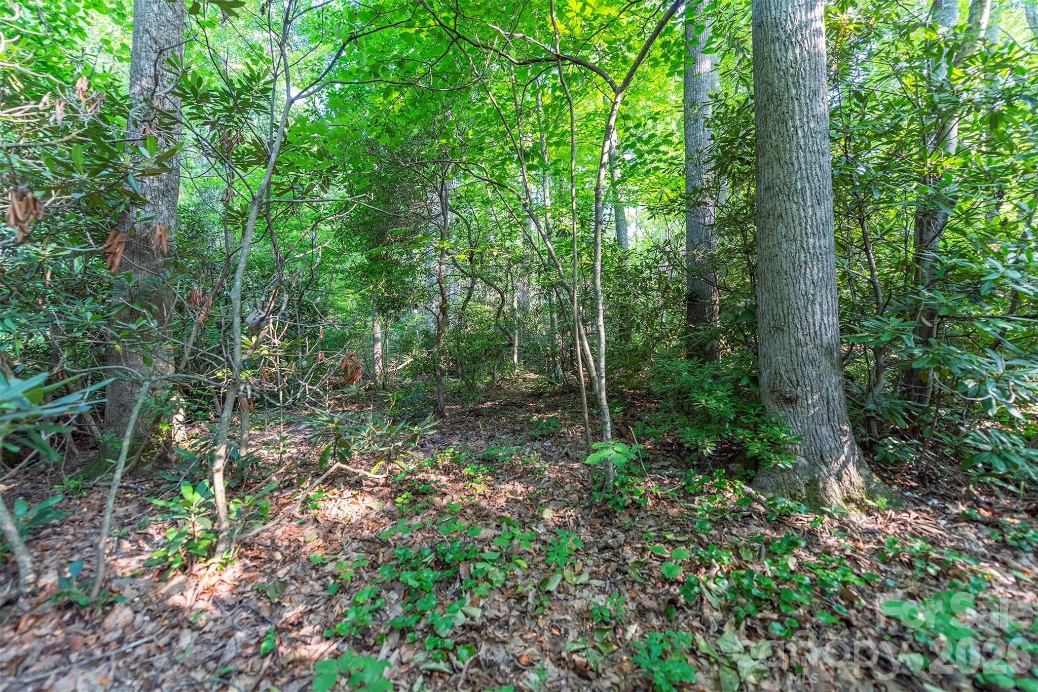 Tbd Mecklenburg Circle Montreat NC 28757