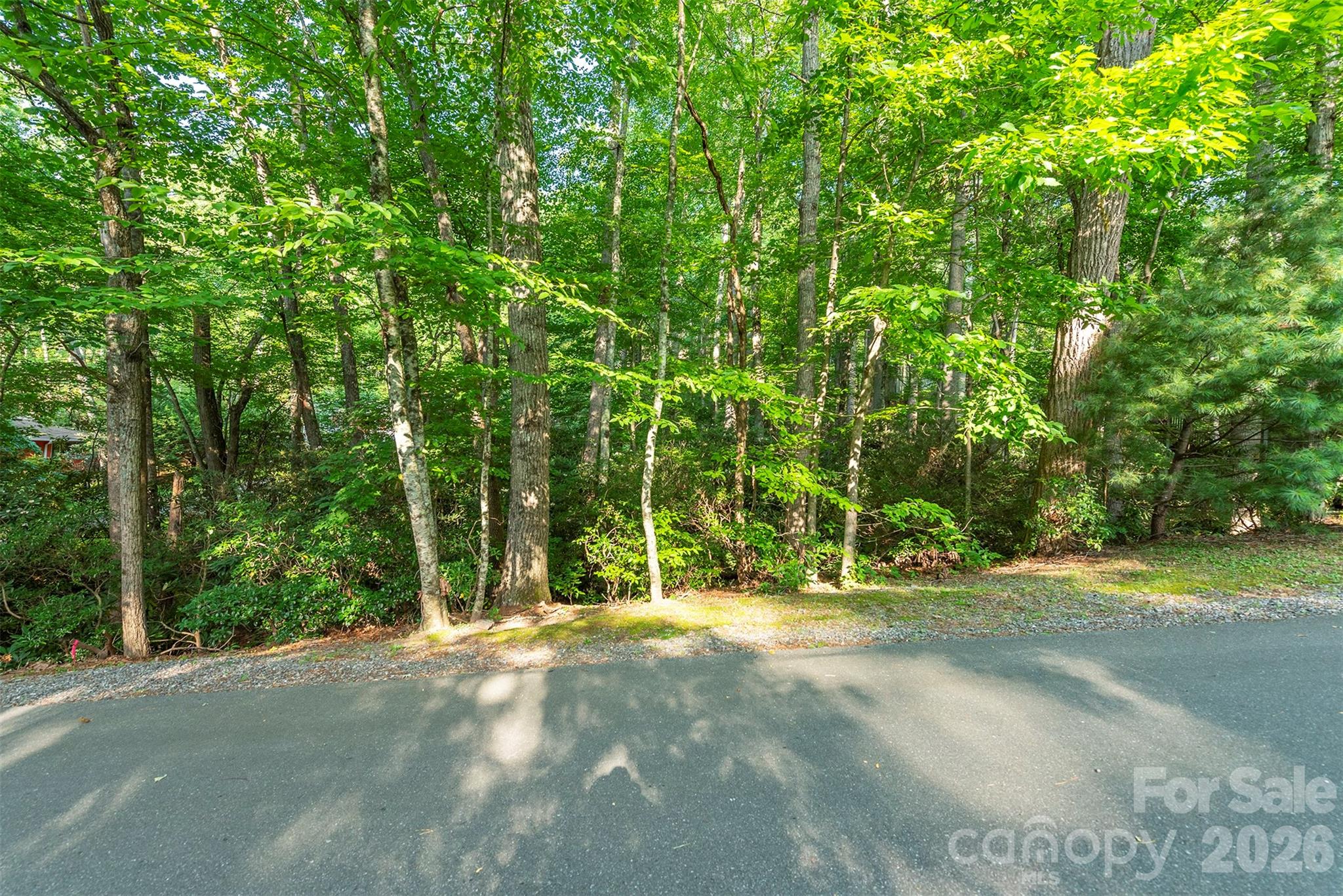 Tbd Mecklenburg Circle Montreat NC 28757