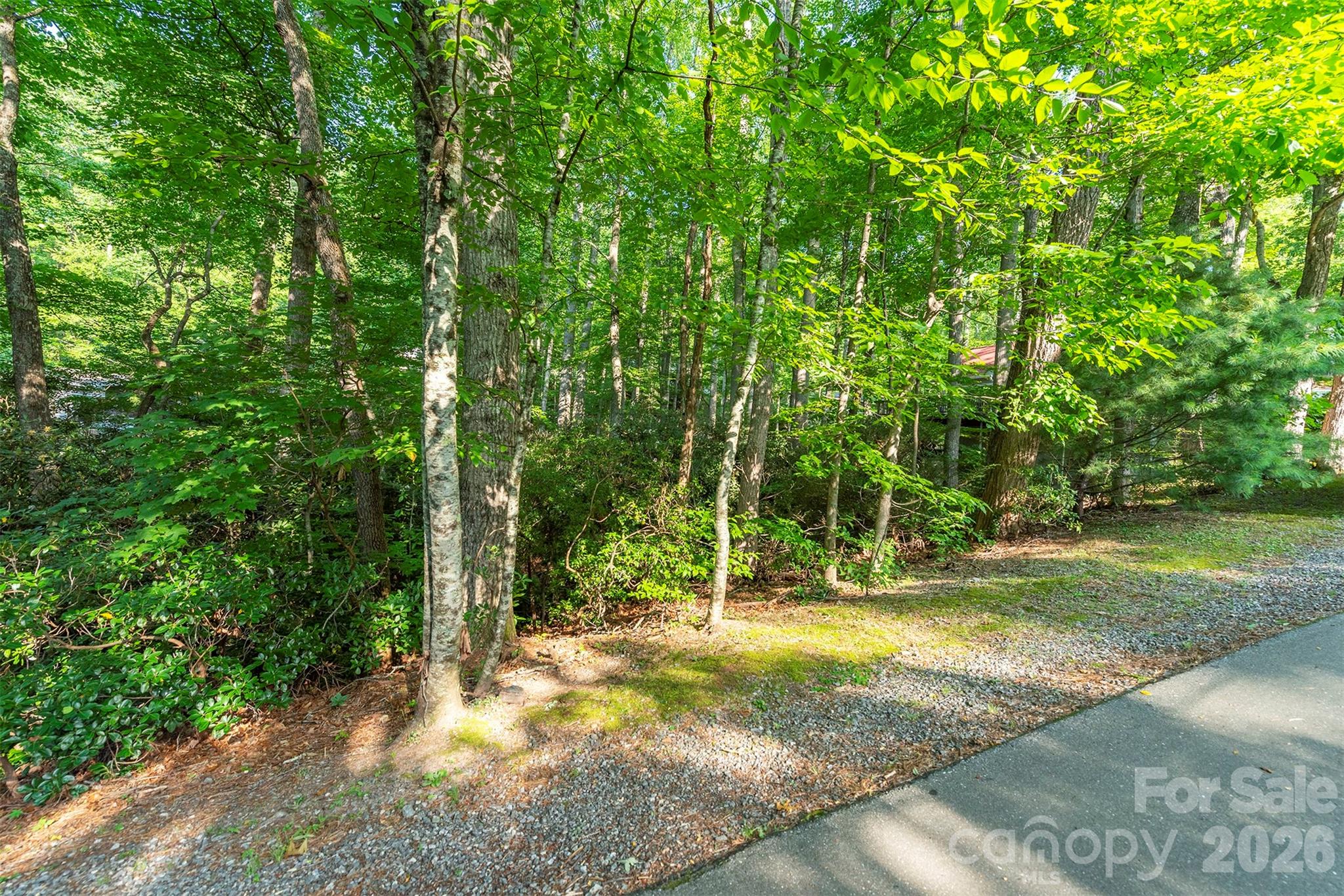 Tbd Mecklenburg Circle Montreat NC 28757