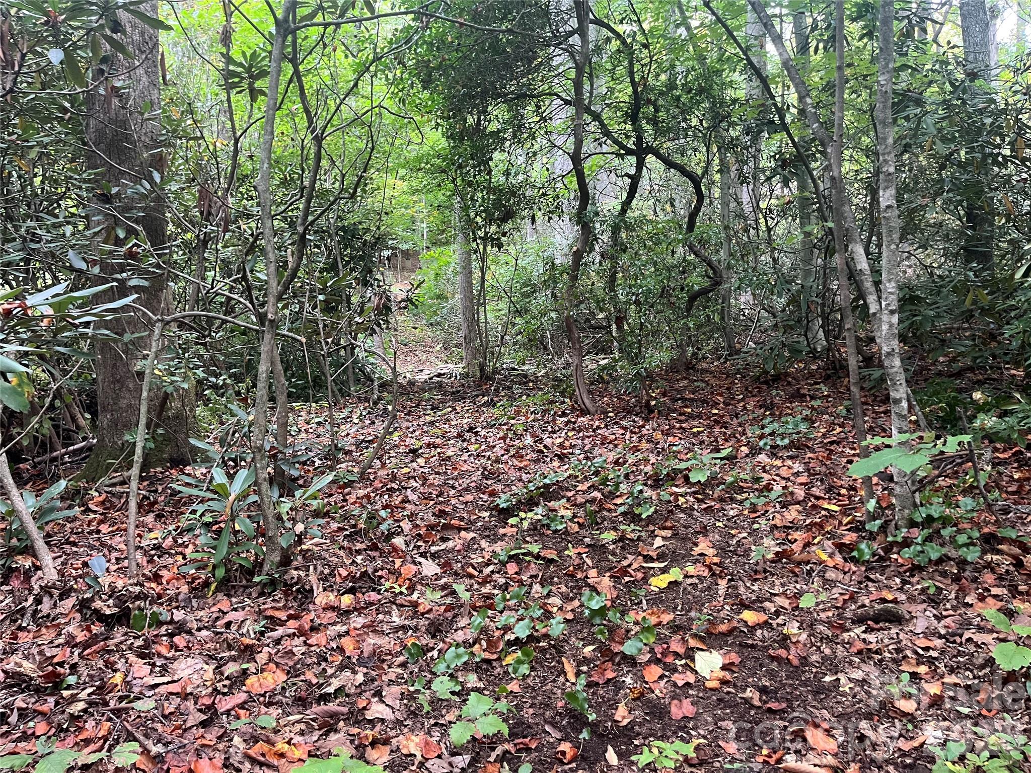 Tbd Mecklenburg Circle Montreat NC 28757