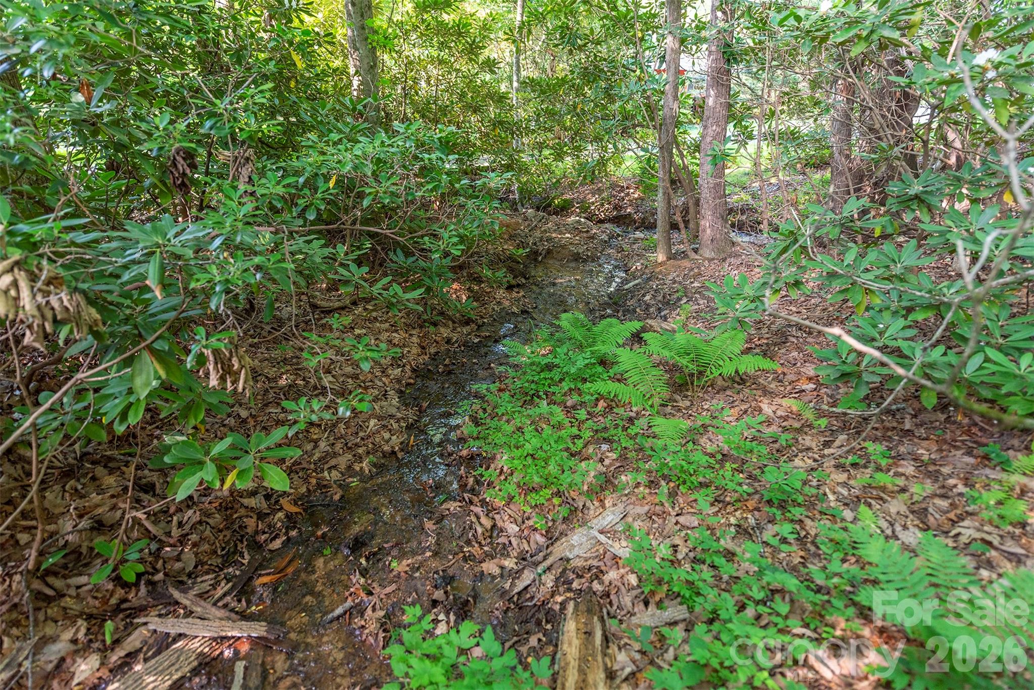 Tbd Mecklenburg Circle Montreat NC 28757