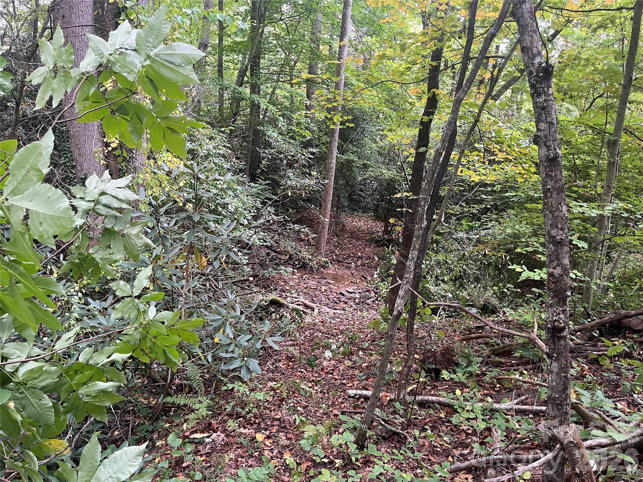 Tbd Mecklenburg Circle Montreat NC 28757