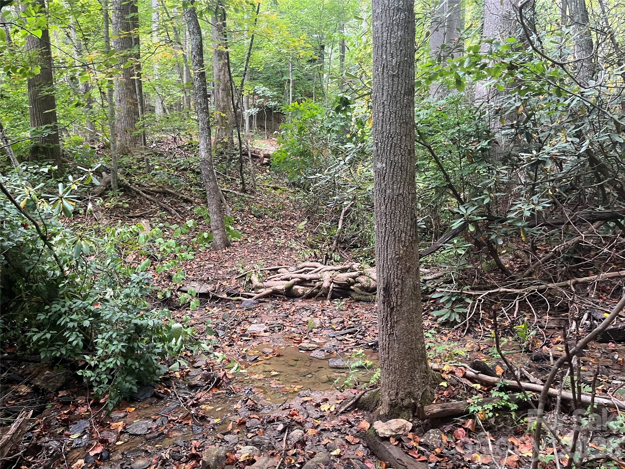 Tbd Mecklenburg Circle Montreat NC 28757