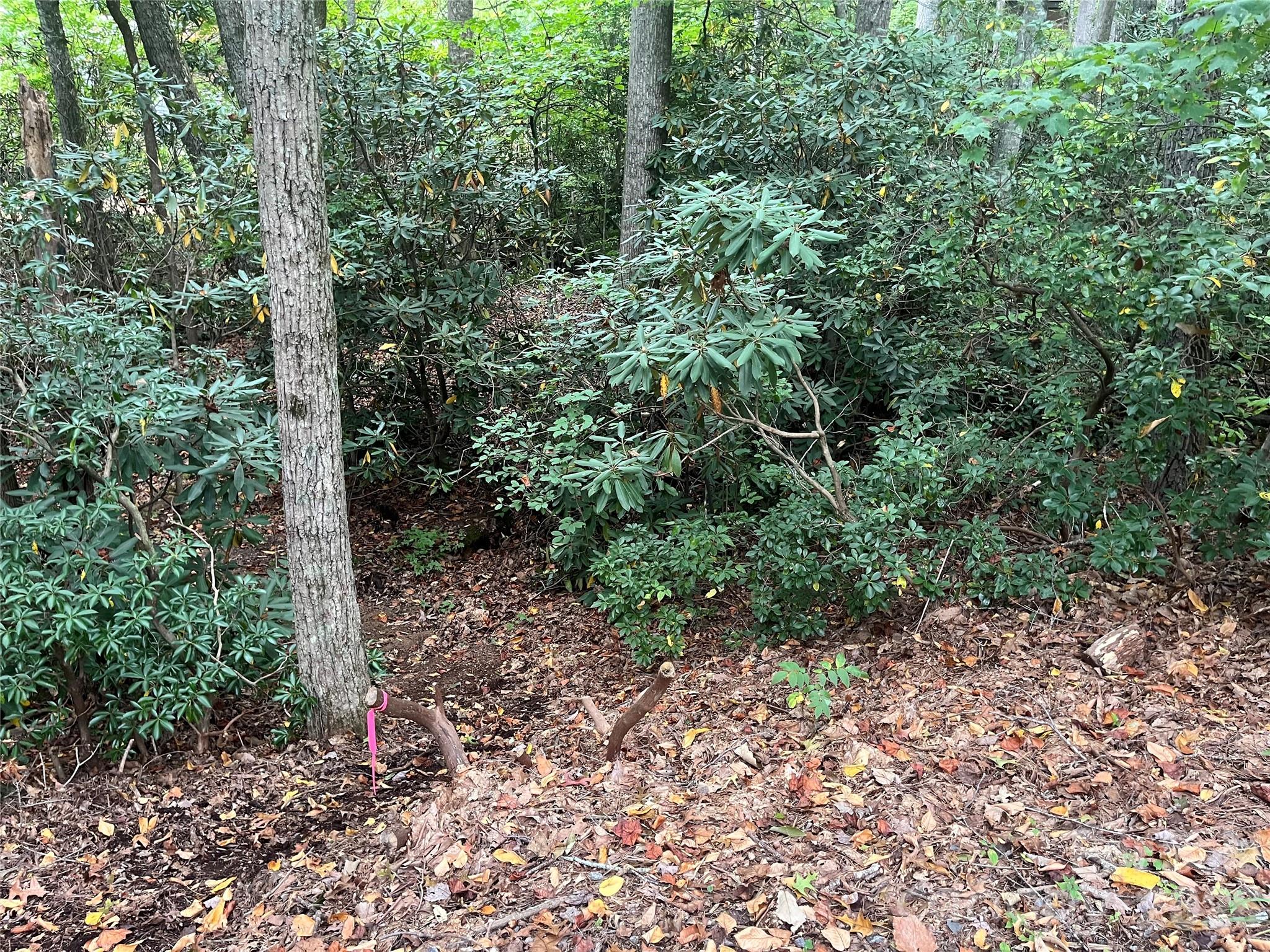 Tbd Mecklenburg Circle Montreat NC 28757