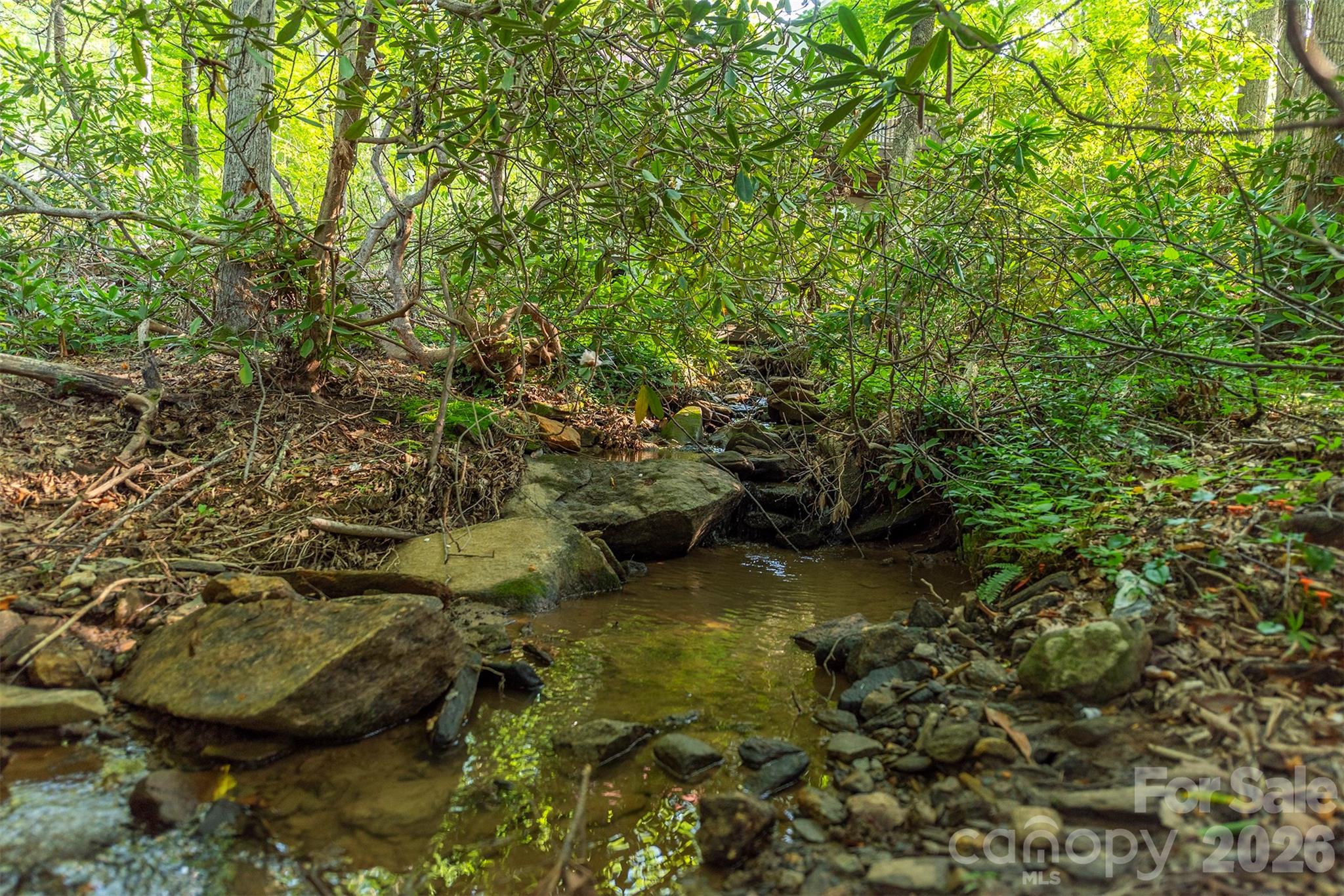 Tbd Mecklenburg Circle Montreat NC 28757