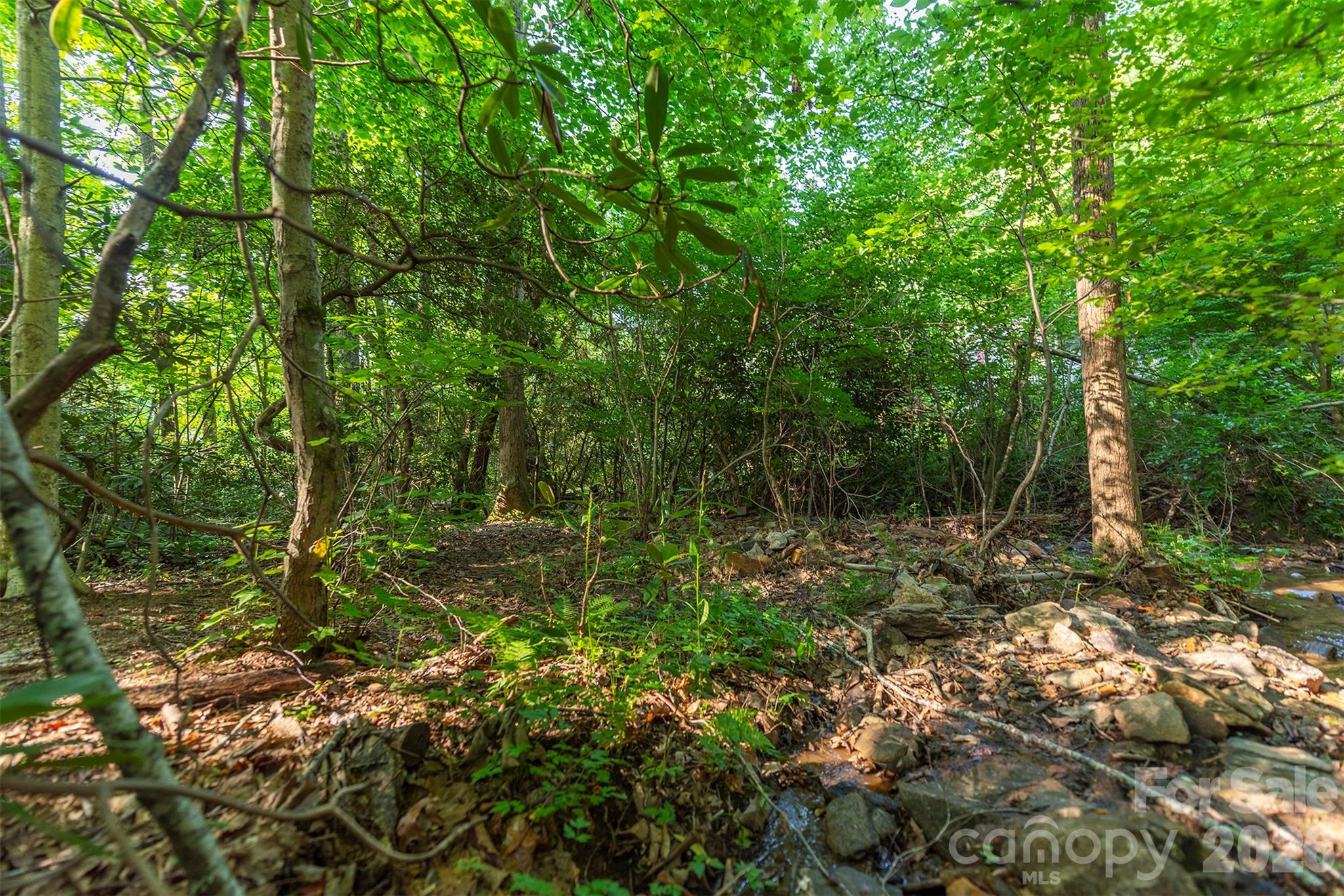 Tbd Mecklenburg Circle Montreat NC 28757