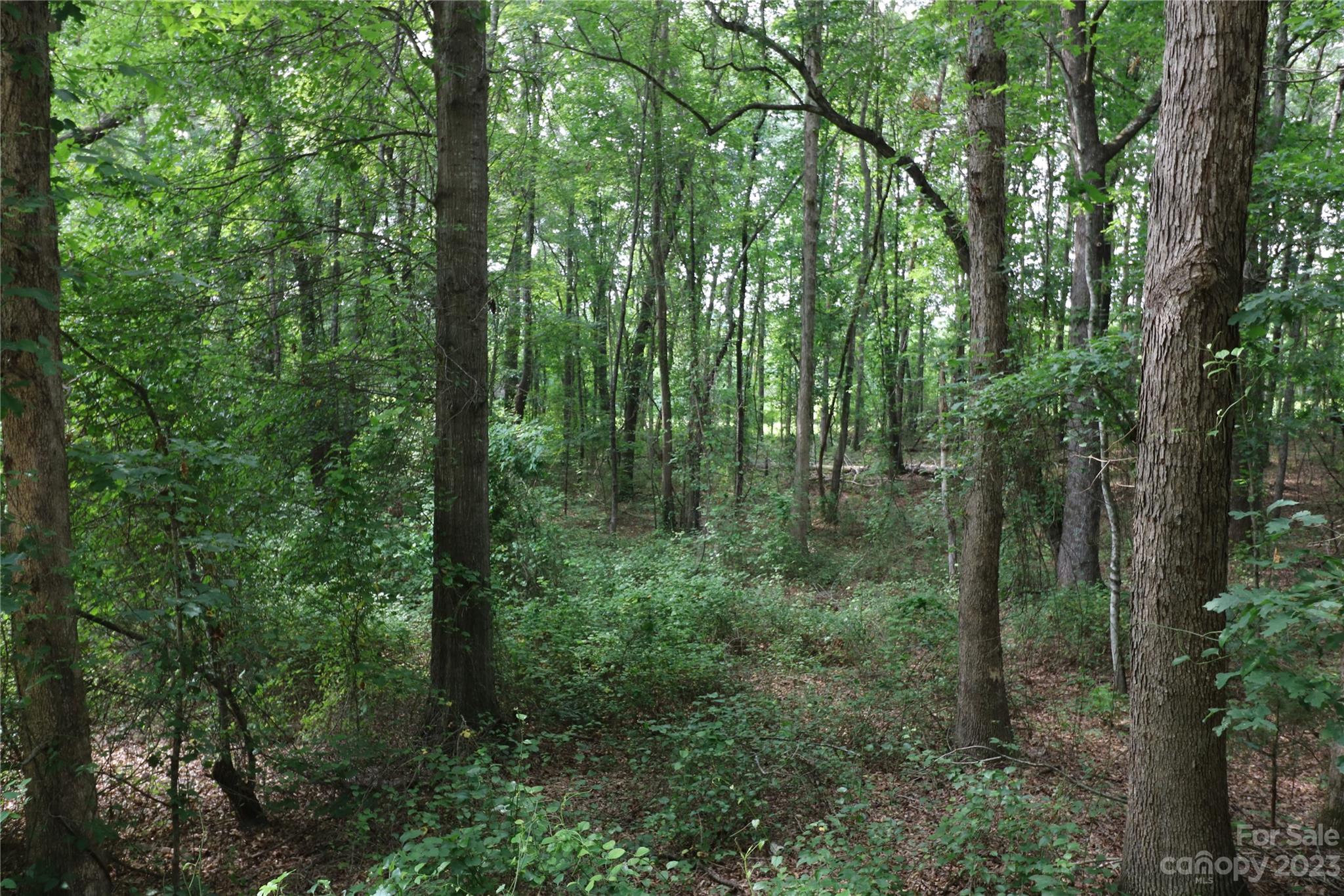 Lot 20 Commercial Drive Forest City NC 28043