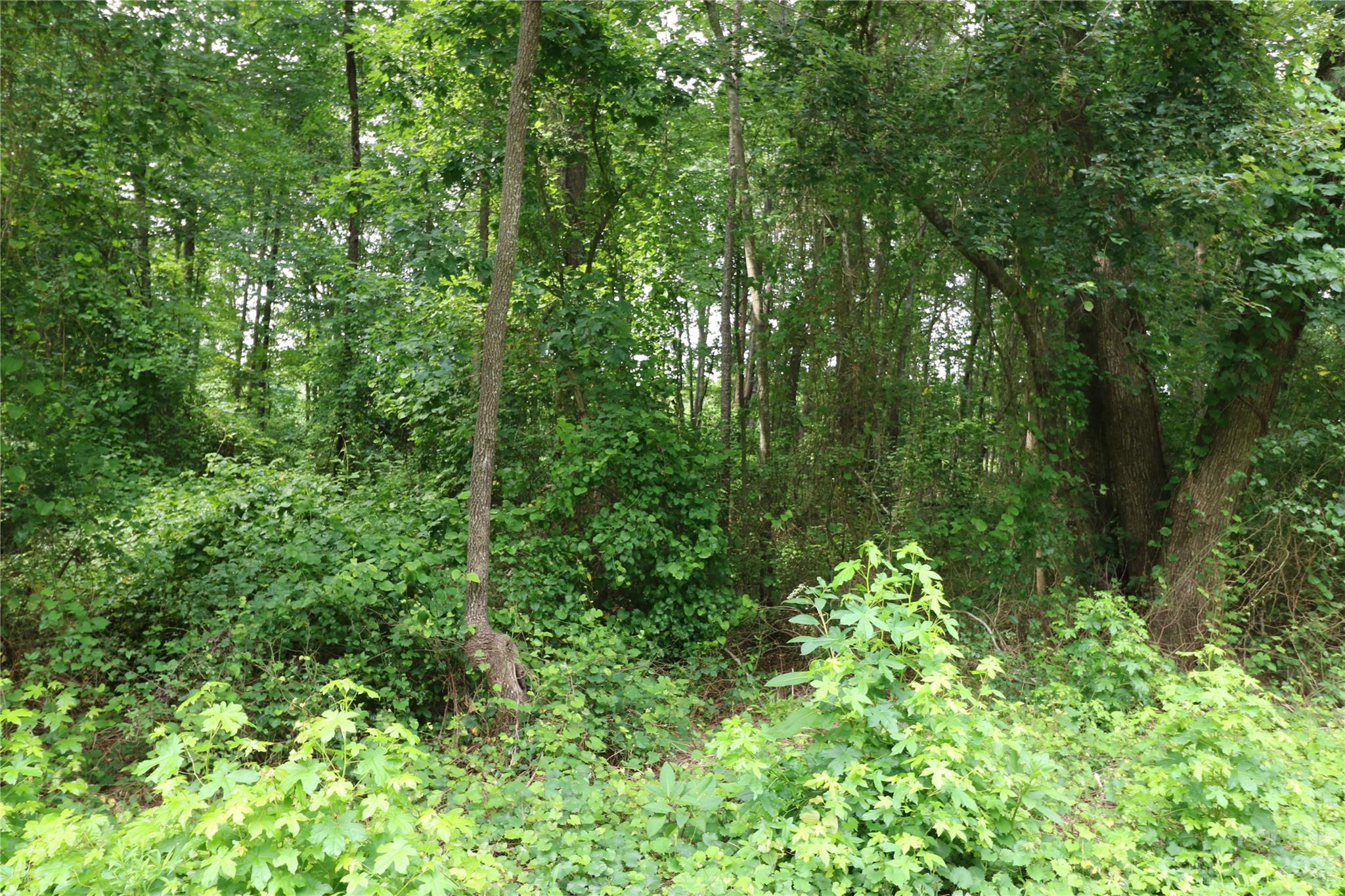 Lot 20 Commercial Drive Forest City NC 28043