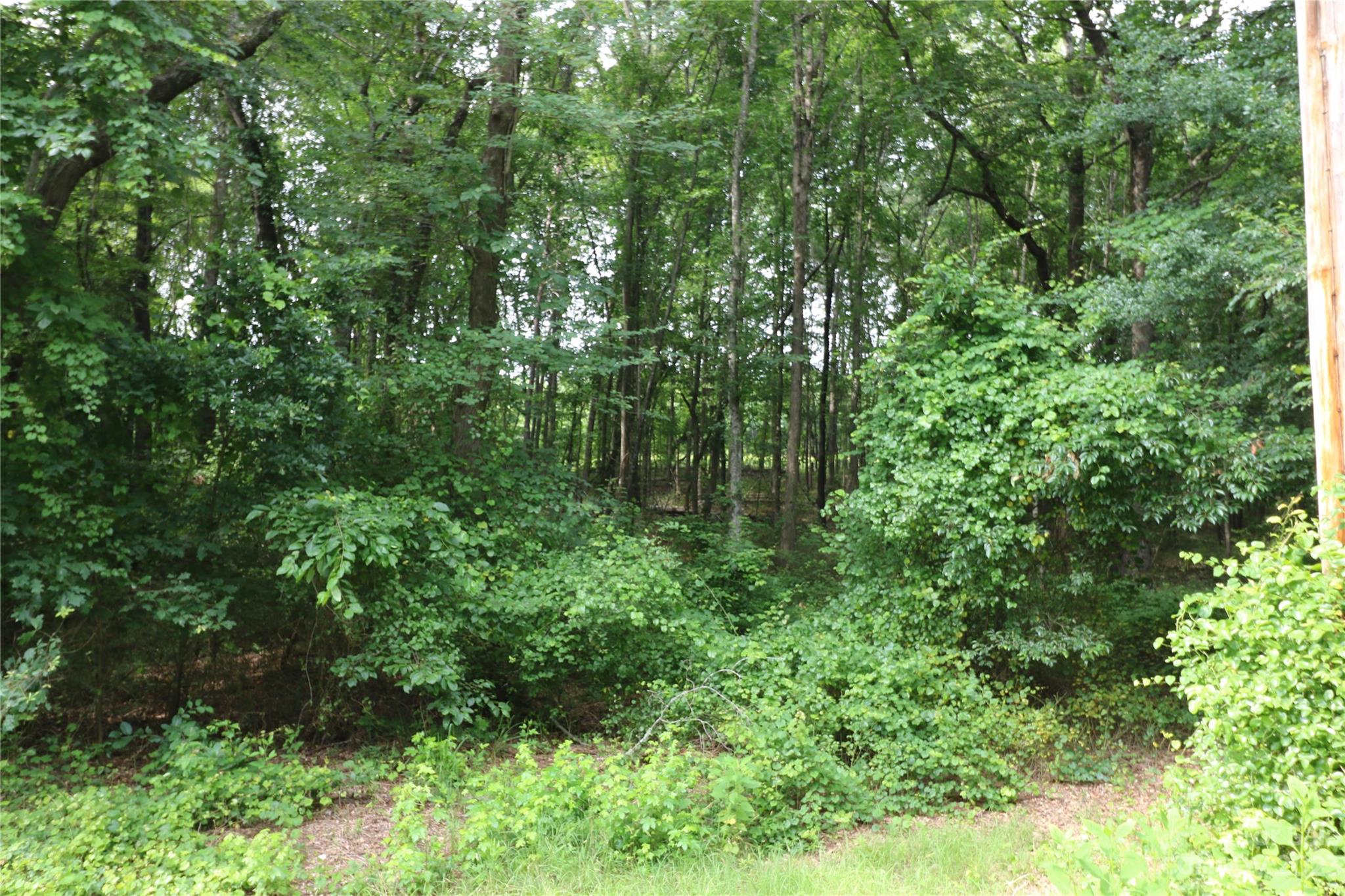 Lot 20 Commercial Drive Forest City NC 28043