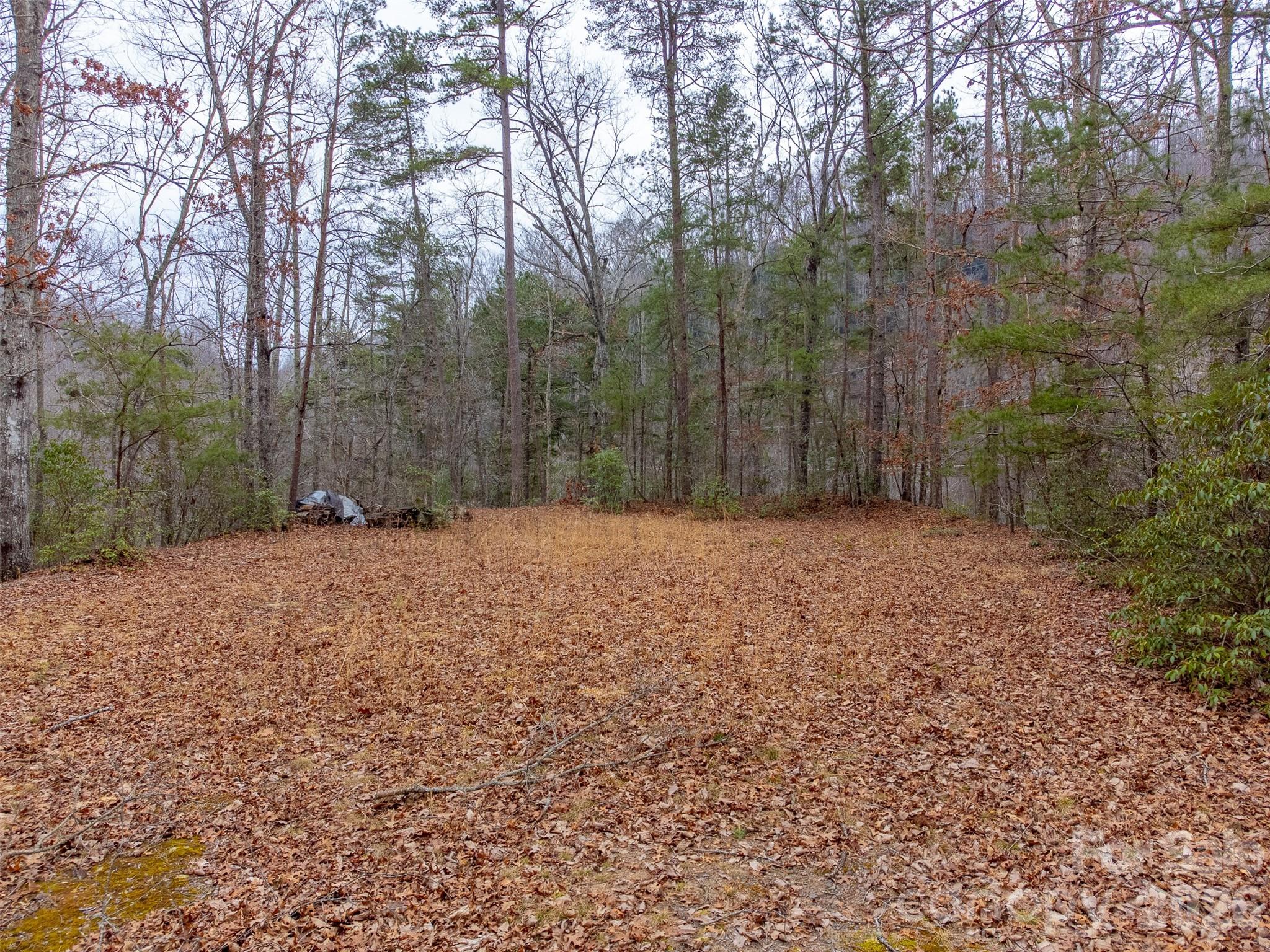 Lot 3 River Valley Estates Whittier NC 28789