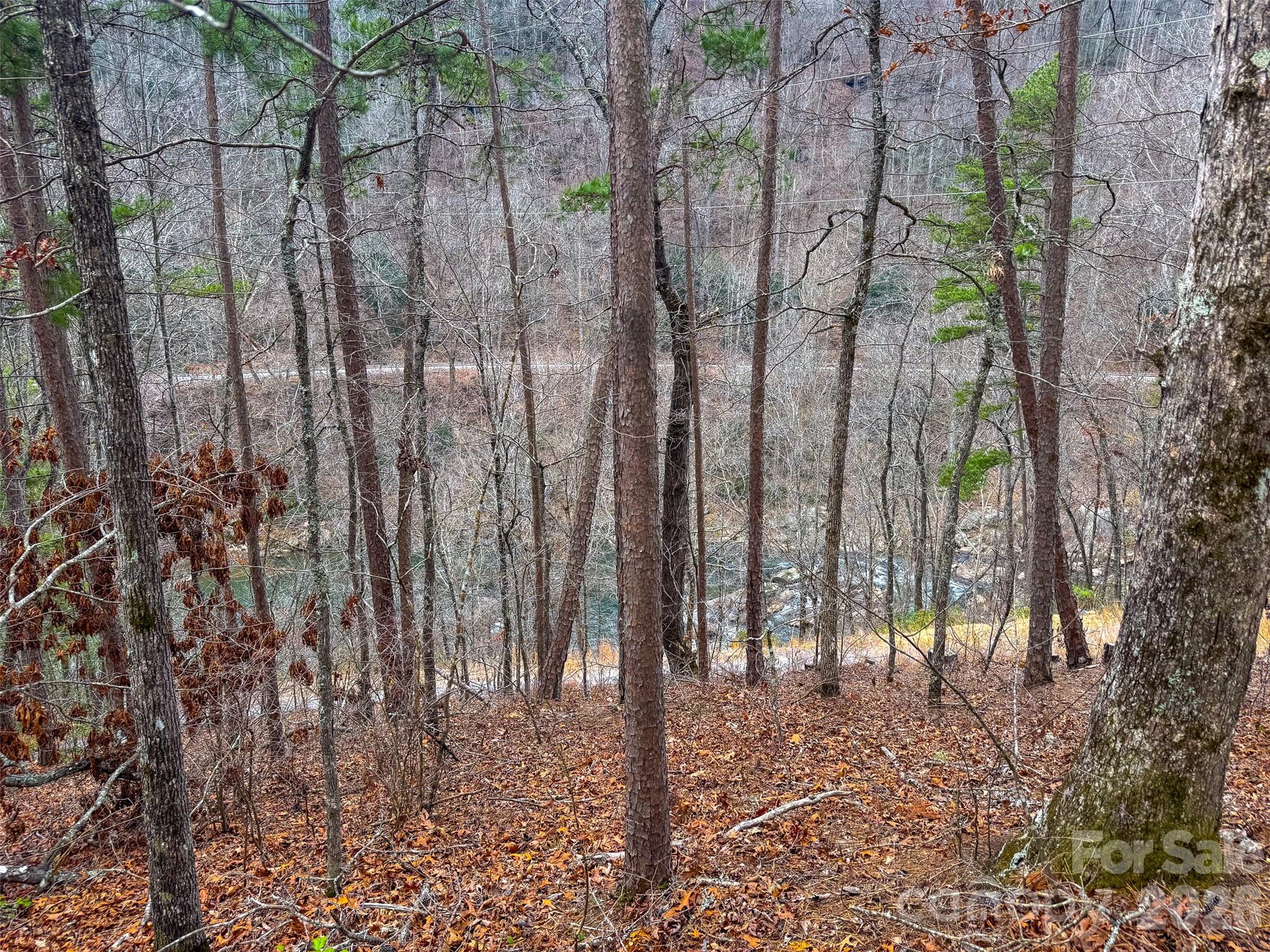 Lot 3 River Valley Estates Whittier NC 28789