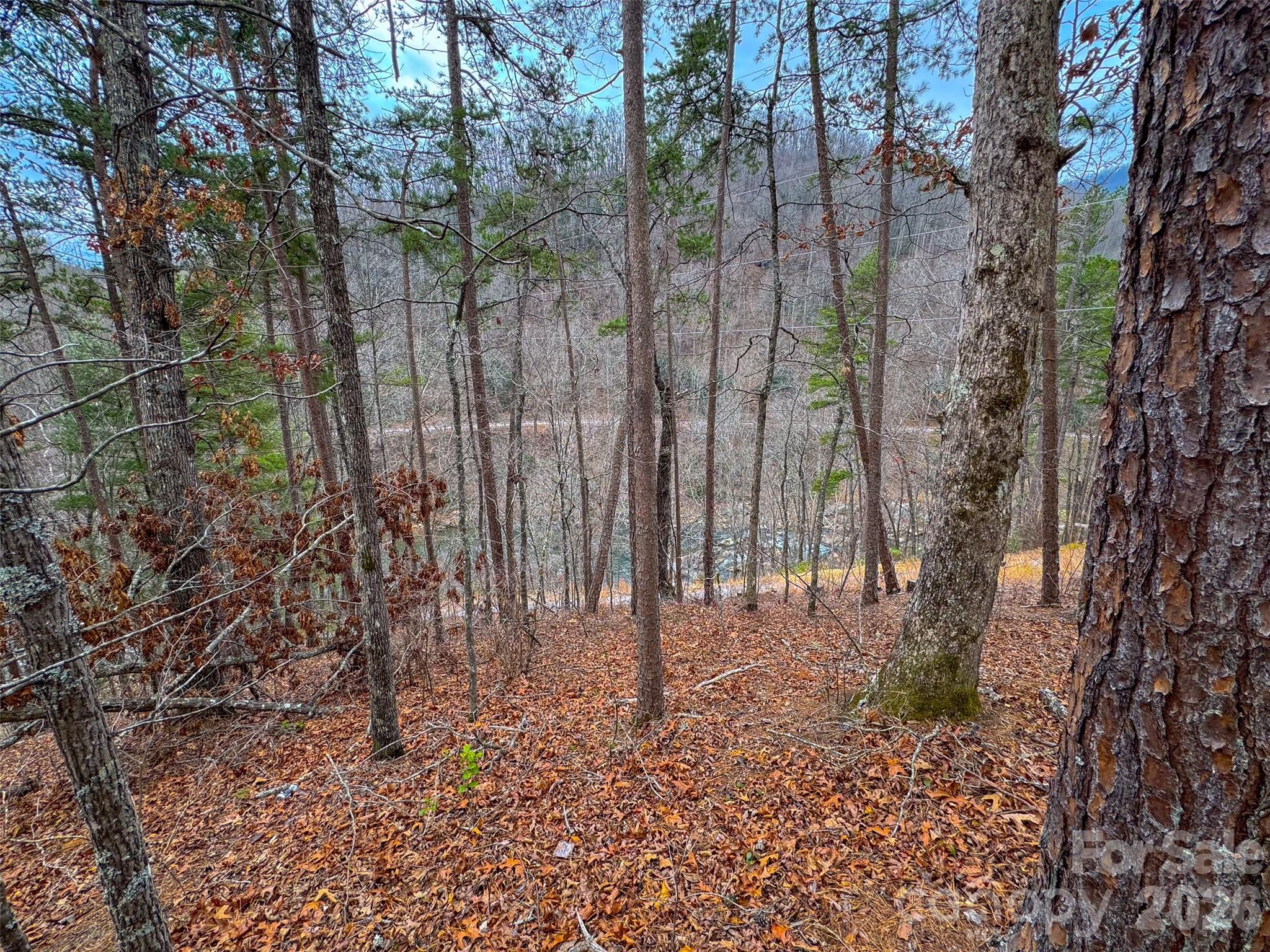 Lot 3 River Valley Estates Whittier NC 28789