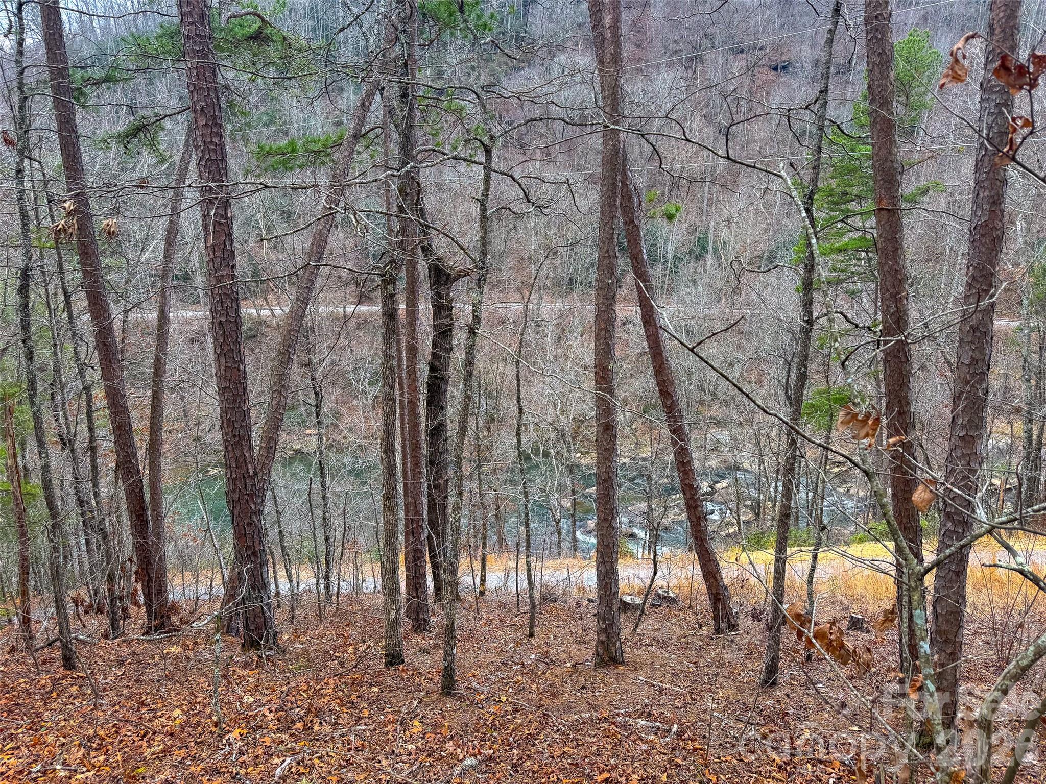 Lot 3 River Valley Estates Whittier NC 28789