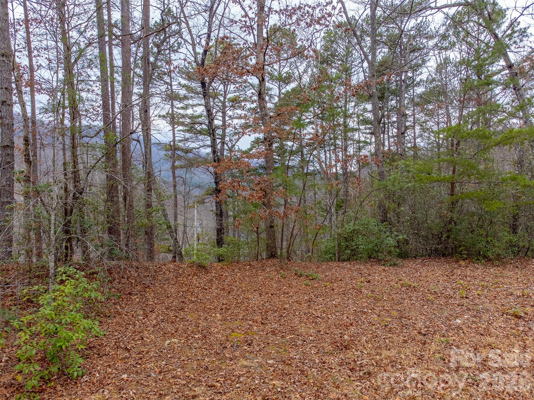 Lot 3 River Valley Estates Whittier NC 28789