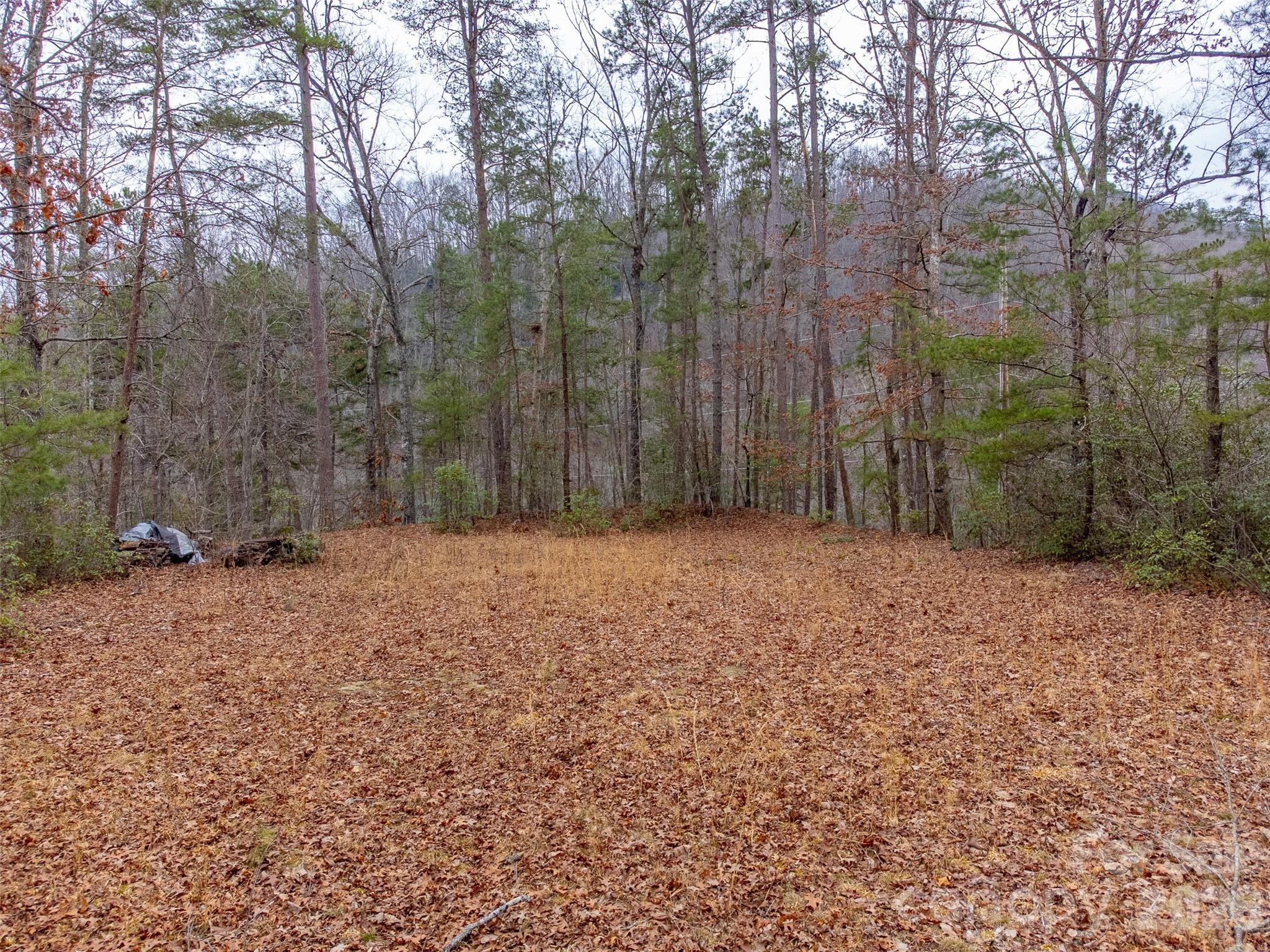 Lot 3 River Valley Estates Whittier NC 28789