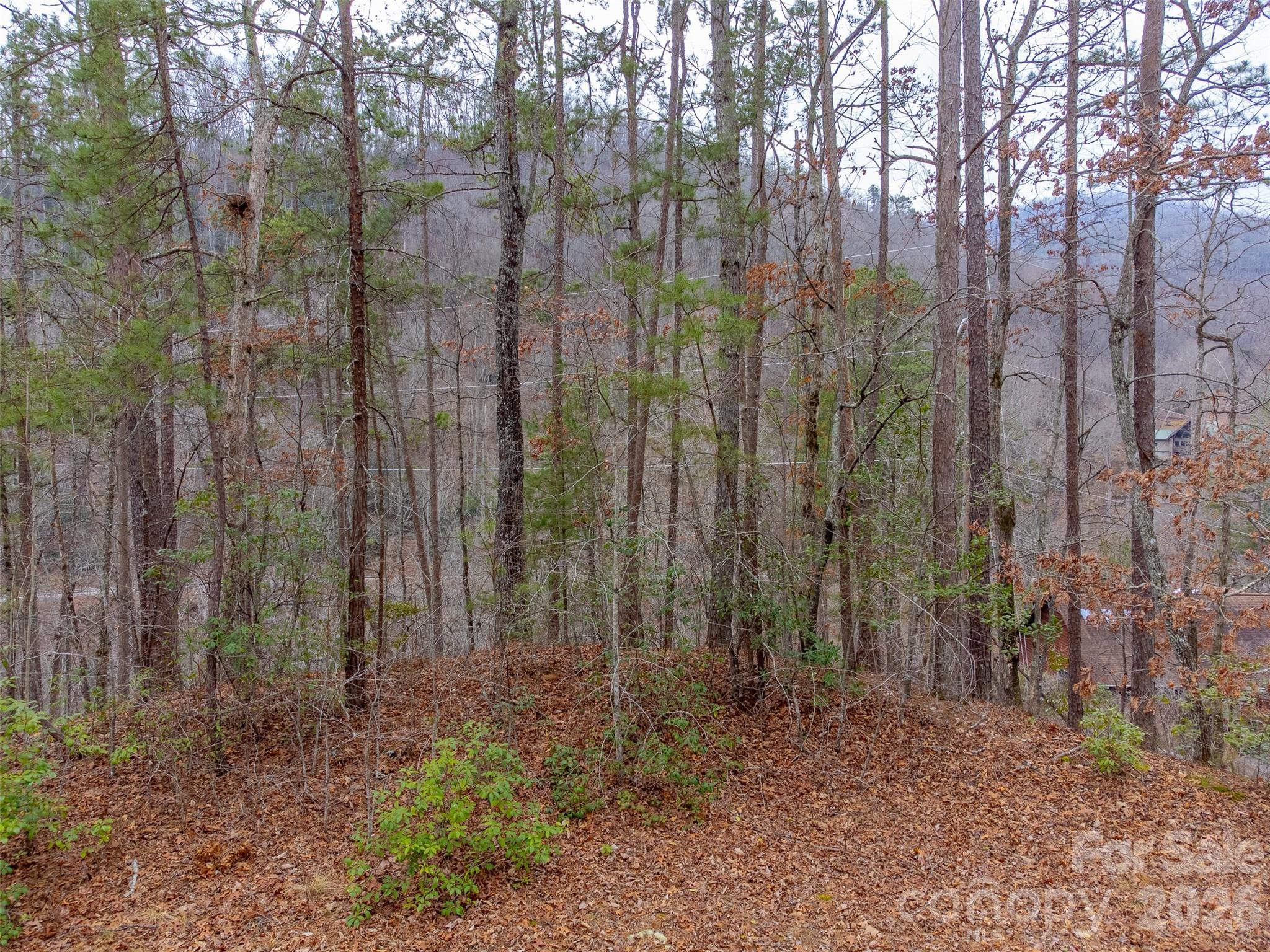 Lot 3 River Valley Estates Whittier NC 28789