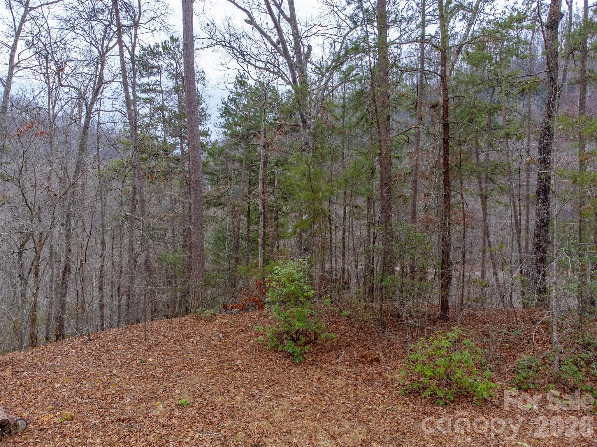 Lot 3 River Valley Estates Whittier NC 28789
