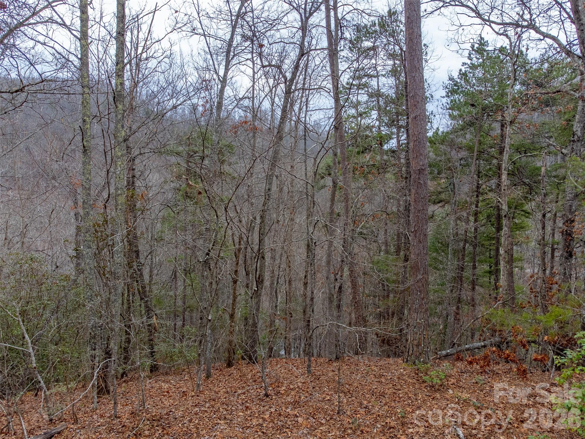 Lot 3 River Valley Estates Whittier NC 28789