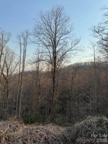 910 Morgan Hill Road Black Mountain NC 28711
