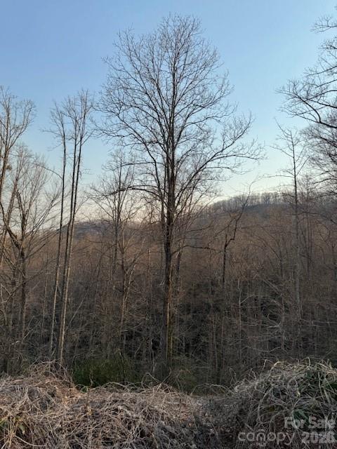 910 Morgan Hill Road Black Mountain NC 28711