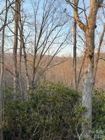 910 Morgan Hill Road Black Mountain NC 28711