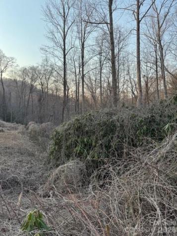910 Morgan Hill Road Black Mountain NC 28711