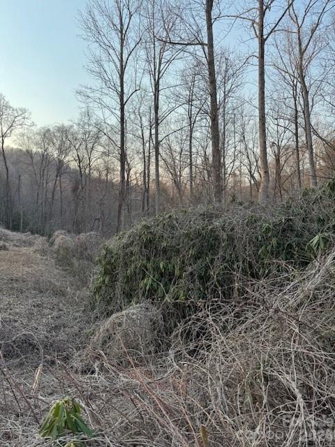 910 Morgan Hill Road Black Mountain NC 28711