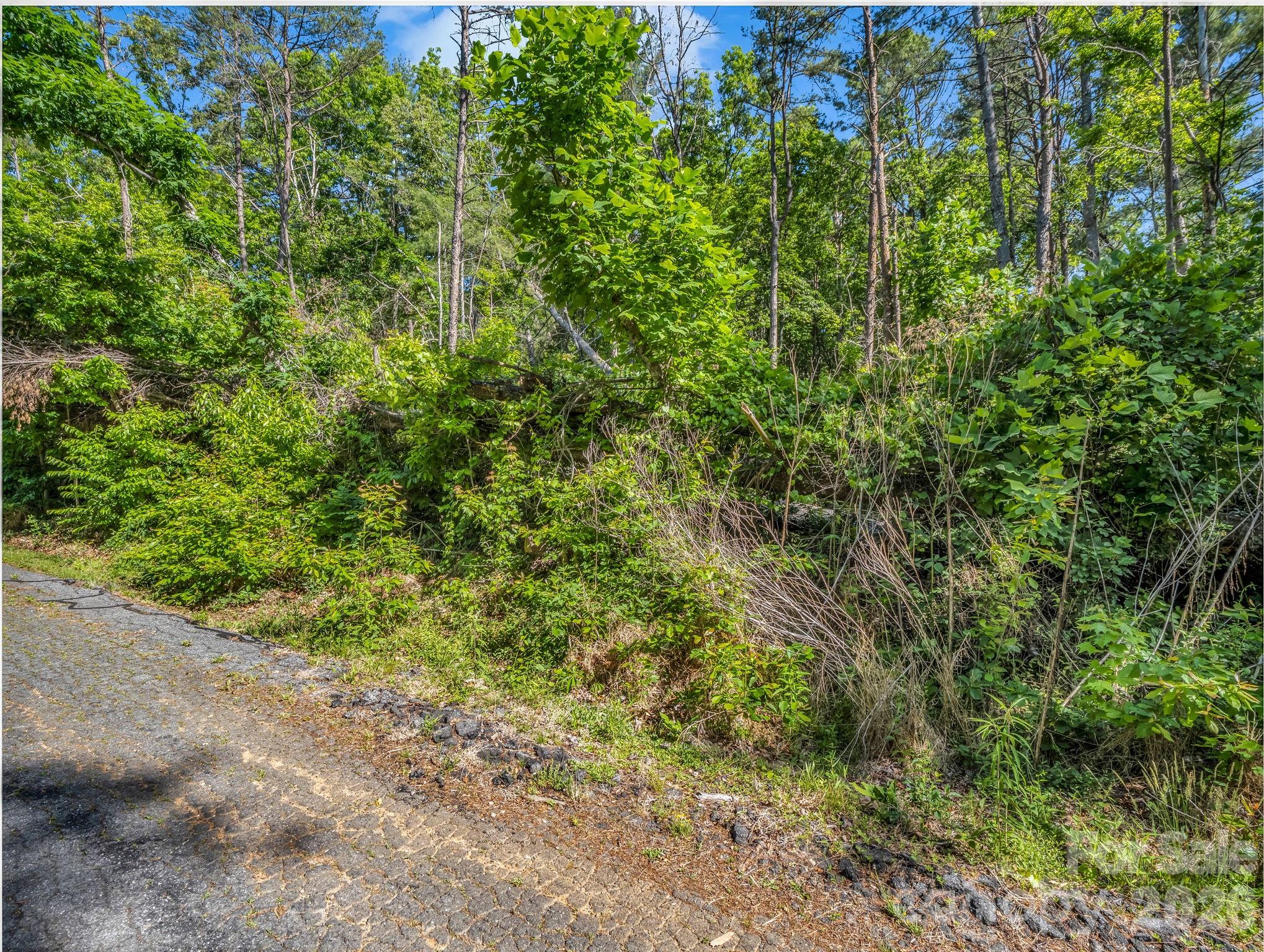 99999 Sedgewood Court Fairview NC 28730