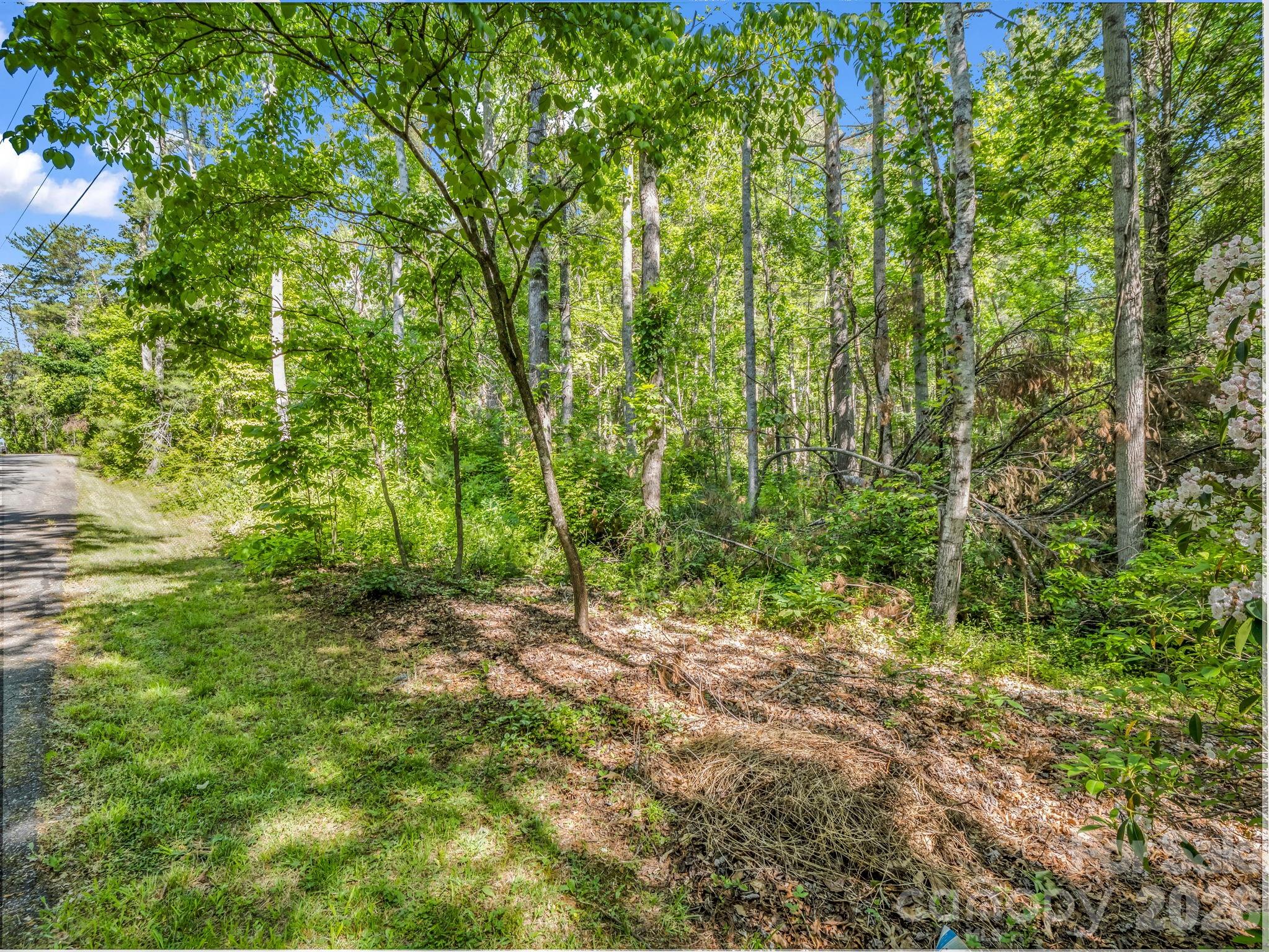 99999 Sedgewood Court Fairview NC 28730