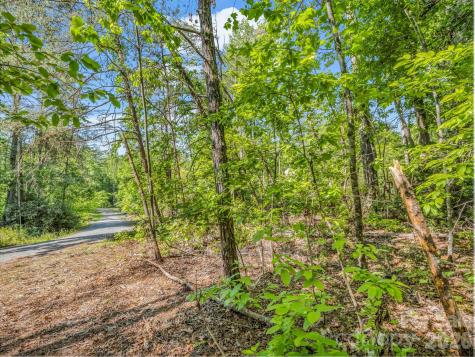99999 Sedgewood Court Fairview NC 28730