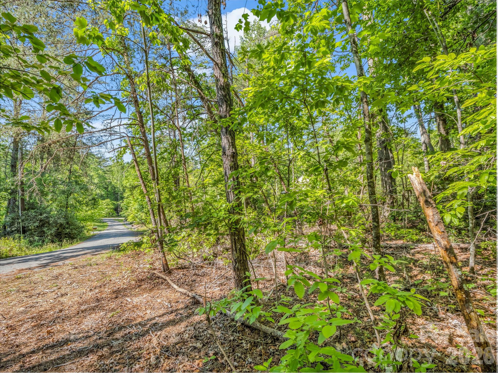 99999 Sedgewood Court Fairview NC 28730