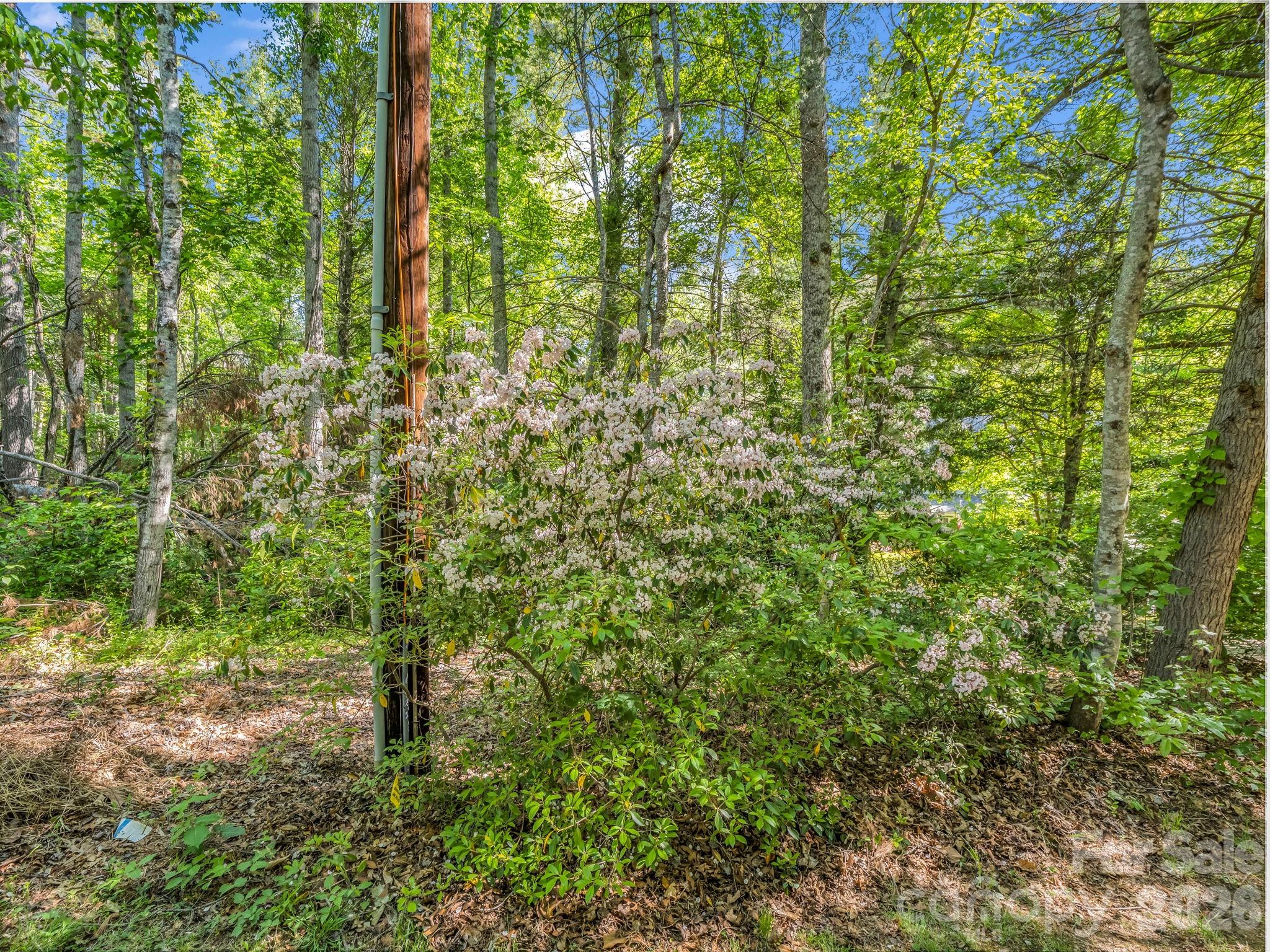 99999 Sedgewood Court Fairview NC 28730