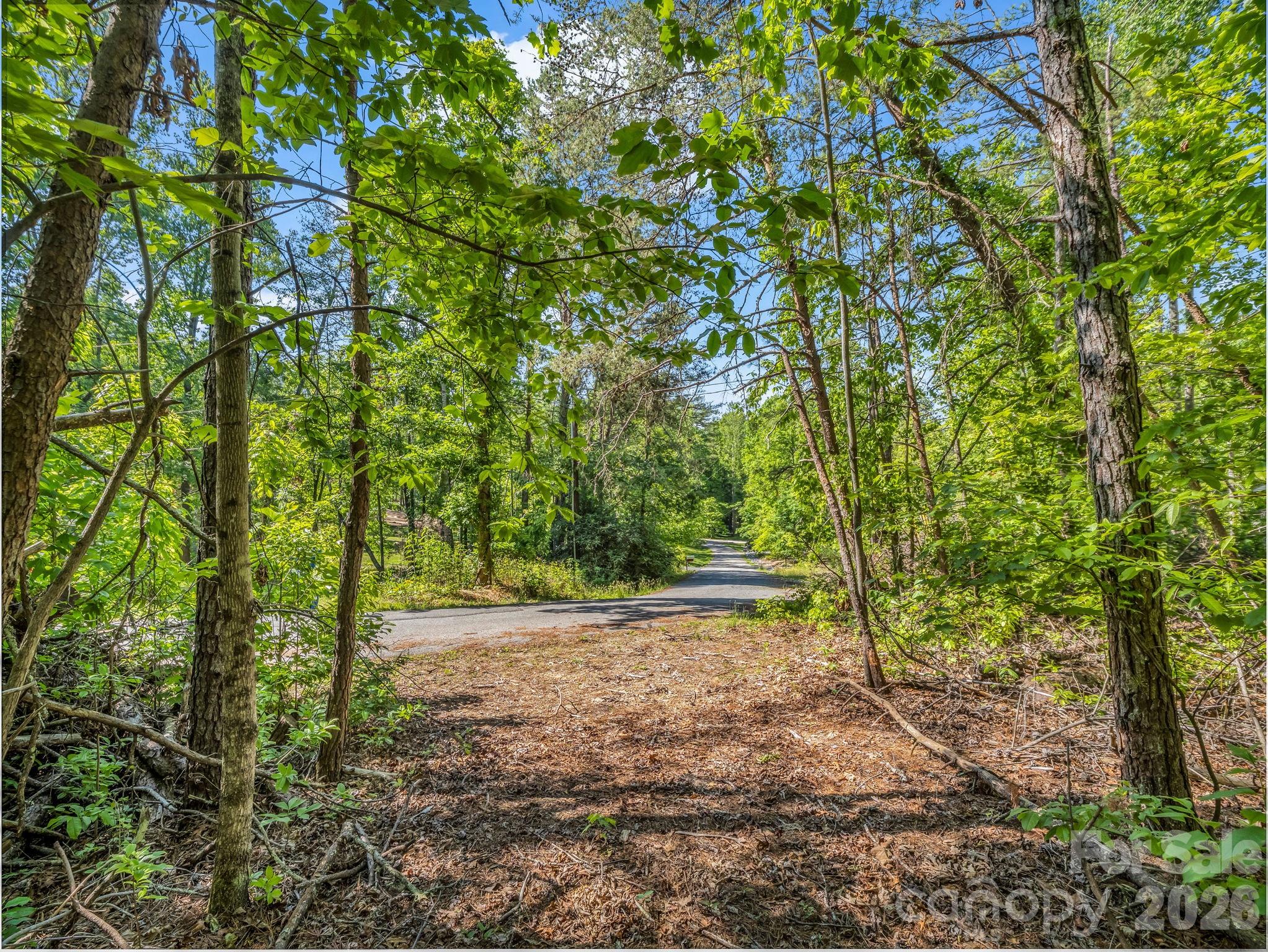 99999 Sedgewood Court Fairview NC 28730