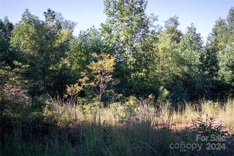 Lot# 134 Fire Crest Lane Lenoir NC 28645