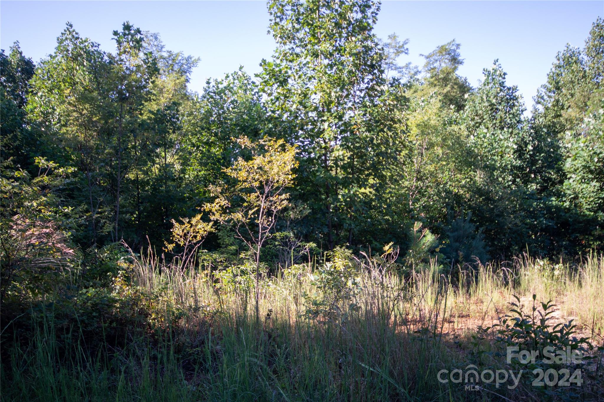 Lot# 134 Fire Crest Lane Lenoir NC 28645