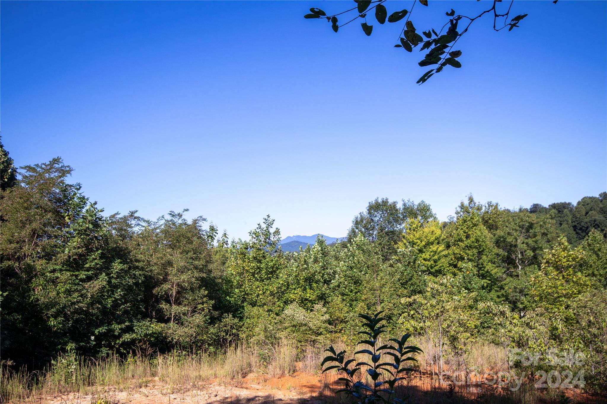 Lot# 134 Fire Crest Lane Lenoir NC 28645