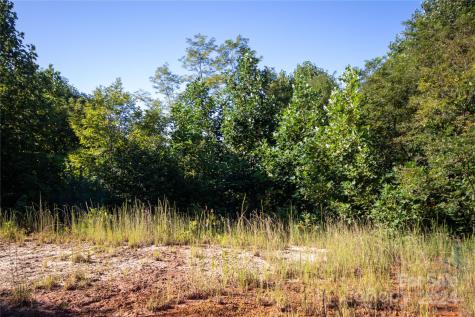 Lot# 134 Fire Crest Lane Lenoir NC 28645