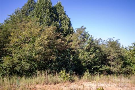 Lot# 134 Fire Crest Lane Lenoir NC 28645