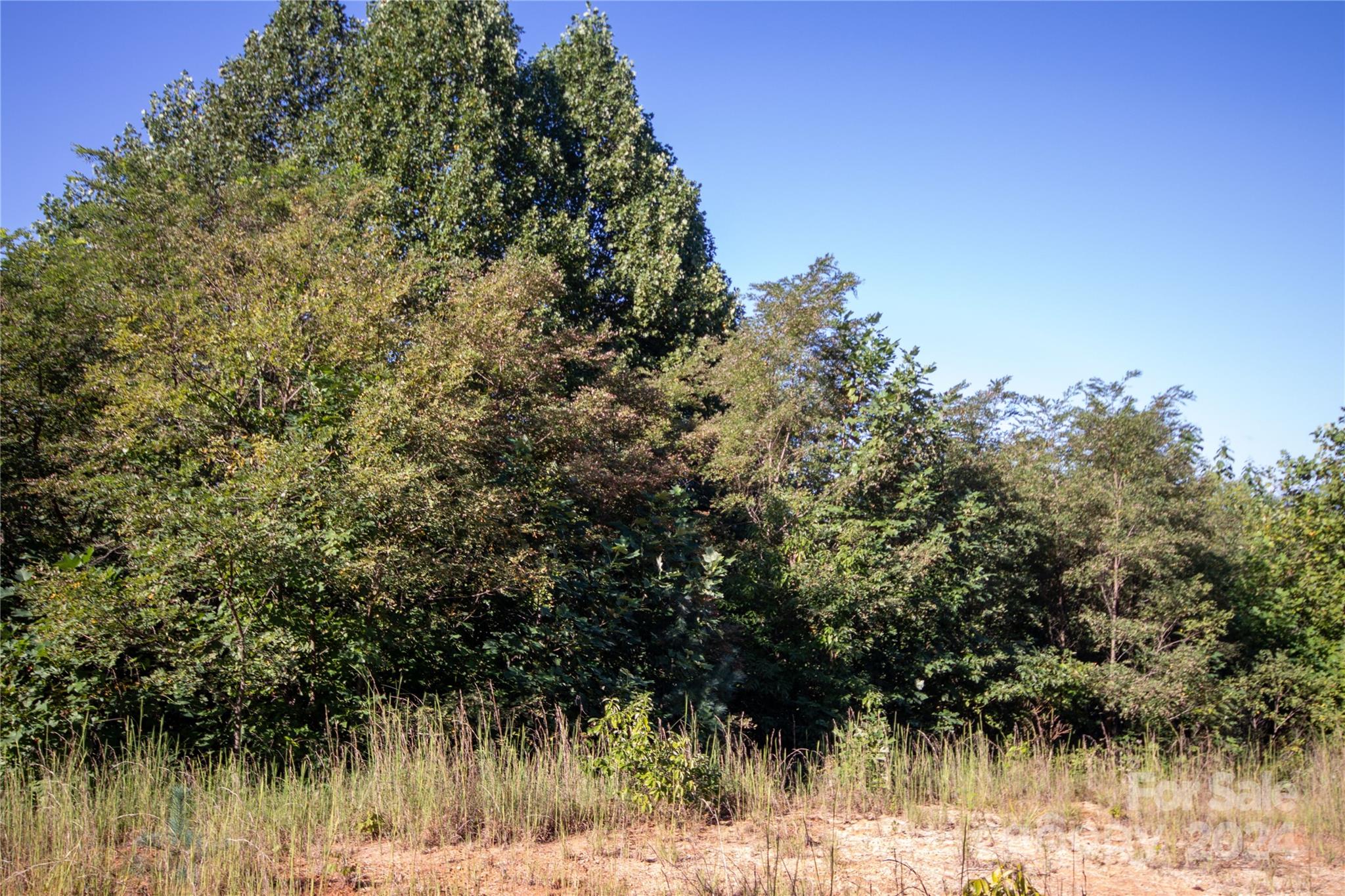 Lot# 134 Fire Crest Lane Lenoir NC 28645
