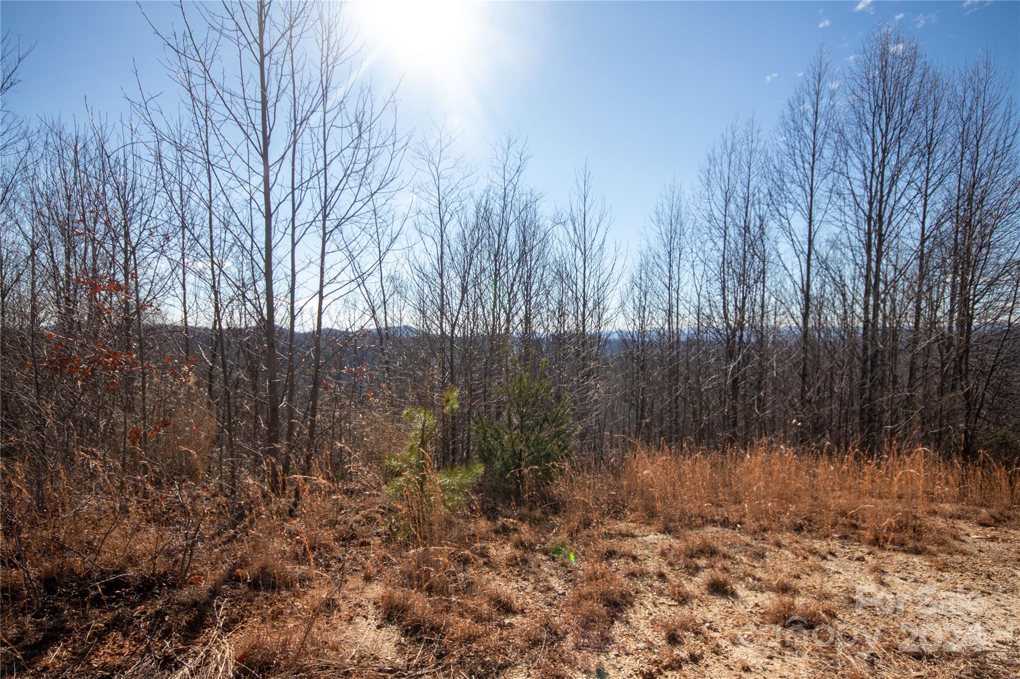 Lot# 134 Fire Crest Lane Lenoir NC 28645