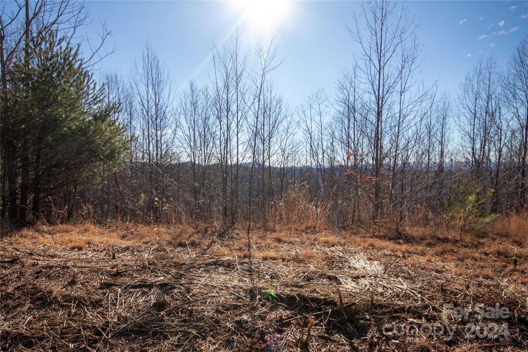 Lot# 134 Fire Crest Lane Lenoir NC 28645