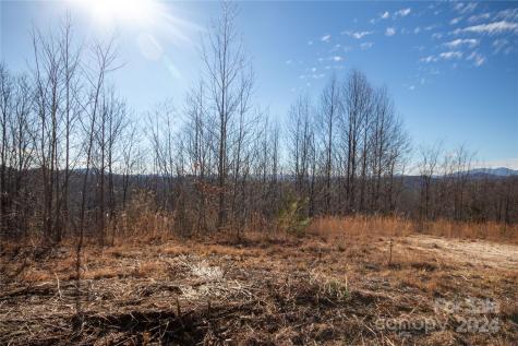 Lot# 134 Fire Crest Lane Lenoir NC 28645